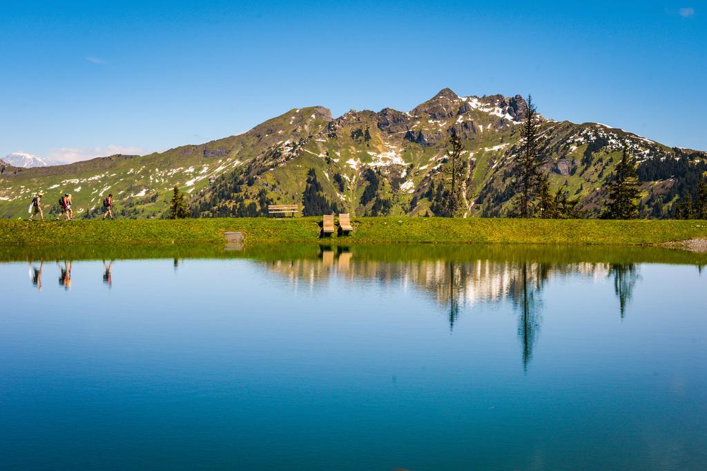 Hotel Voelserhof - Bergbahn Im Sommer 2025 Inklusive Bad Hofgastein Luaran gambar